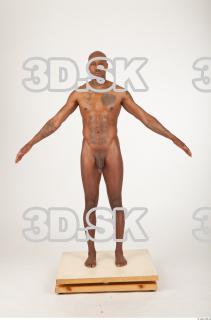 Body texture of Virgil 0046